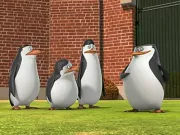 Tučňáci z Madagaskaru / The Penguins of Madagascar (2008): Trailer