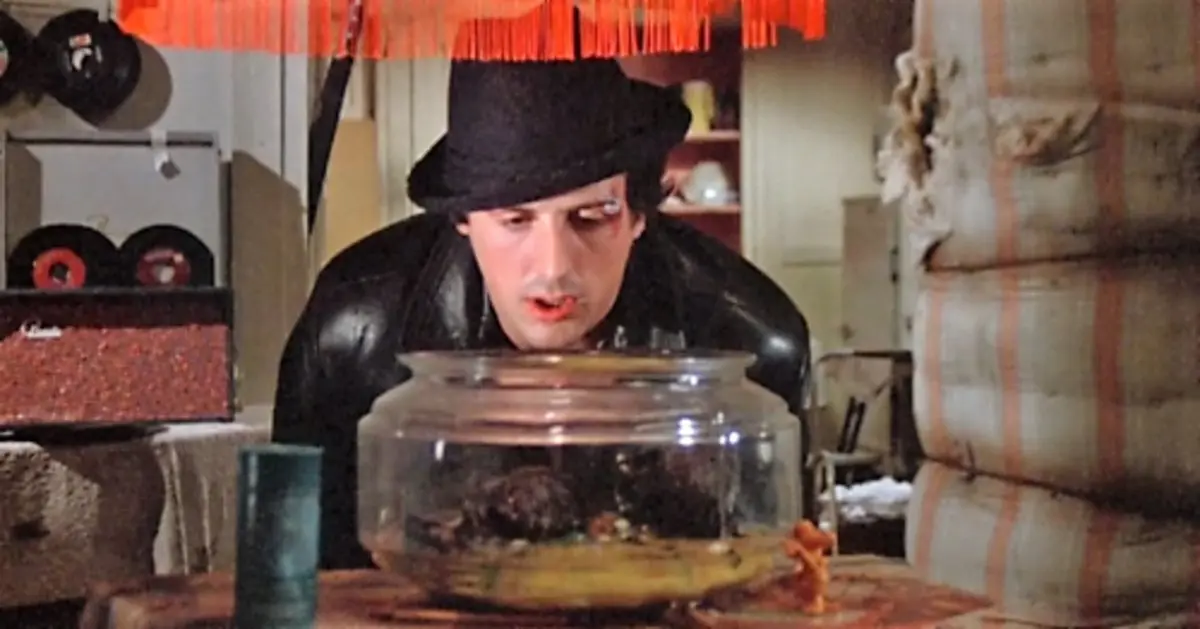 Rockyho želvy stále žijí a je jim úžasných 45 let!