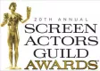 The 20th Annual Screen Actors Guild Awards