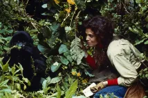 Sigourney Weaver - Gorily v mlze (1988), Obrázek #6