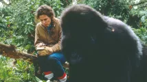 Sigourney Weaver - Gorily v mlze (1988), Obrázek #7