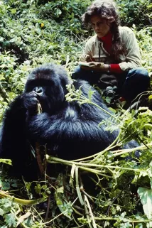 Sigourney Weaver - Gorily v mlze (1988), Obrázek #4