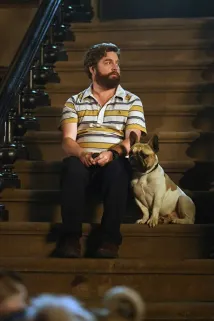 Zach Galifianakis