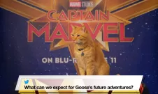 Captain Marvel: Goose
