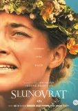 Slunovrat