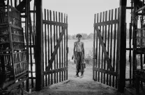 Očekávané Nabarvené ptáče zabojuje o Zlatého lva v Benátkách!