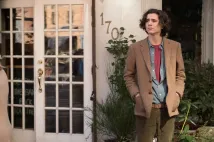 Timothée Chalamet - Deštivý den v New Yorku (2019), Obrázek #7