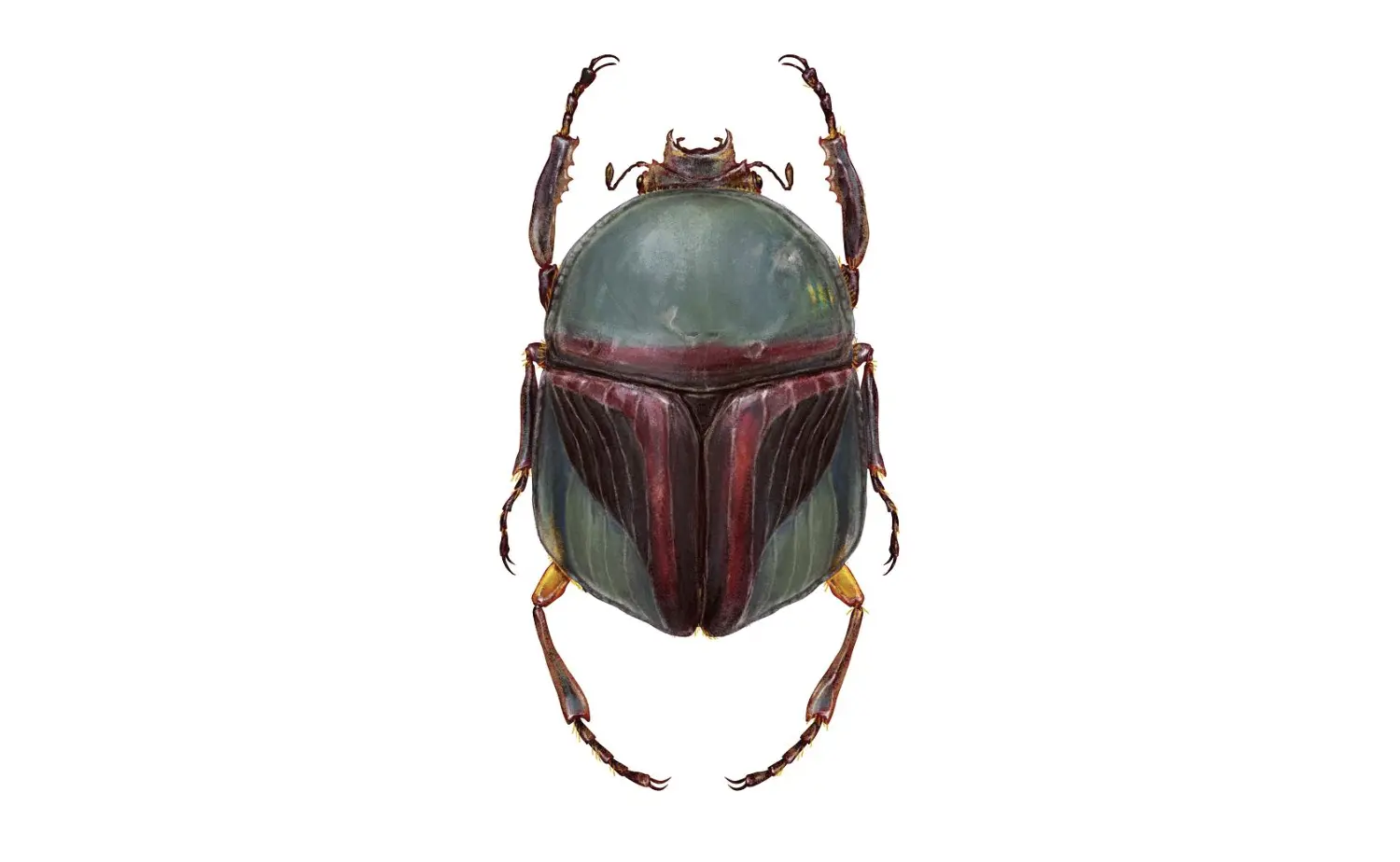 Filmové postavy ve hmyzím hávu. Takhle jste je určitě ještě neviděli