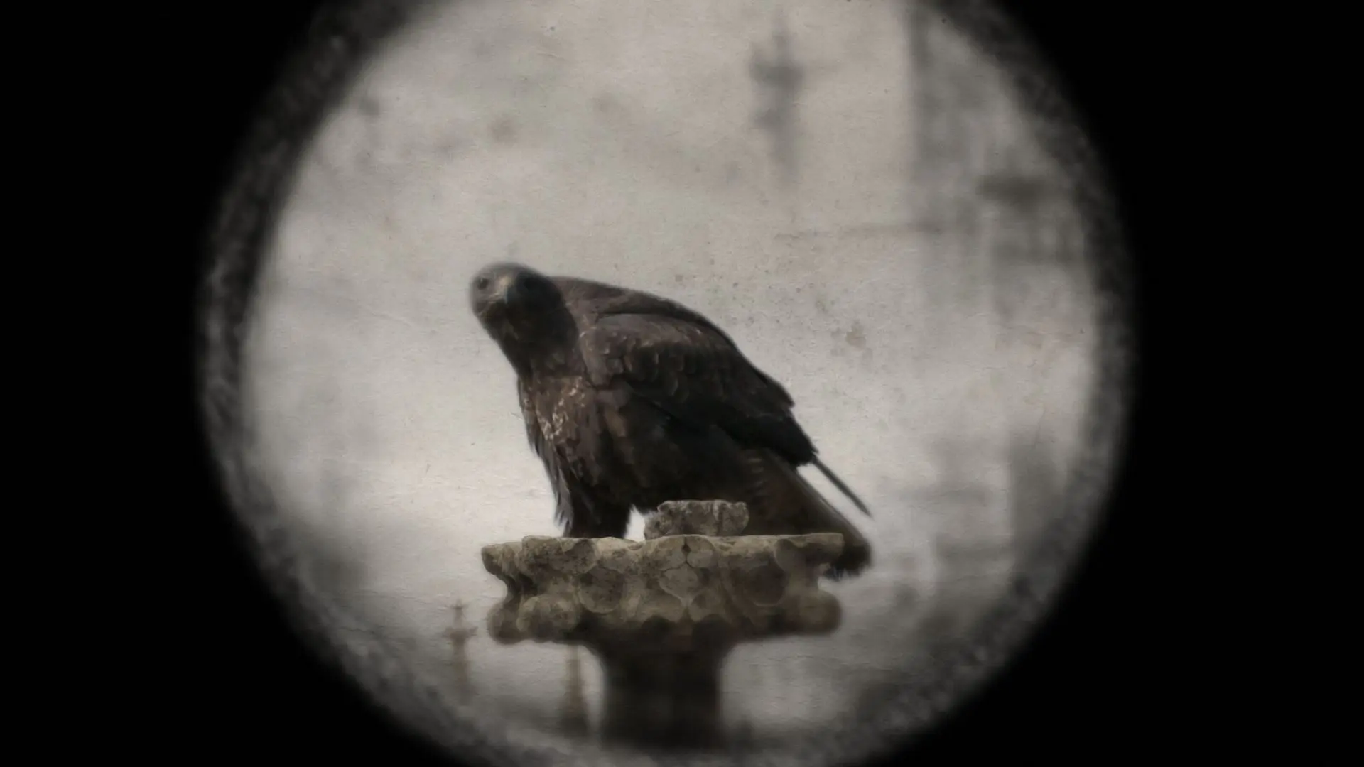 Český krátkometrážní film byl vybrán do soutěže v nejstarším filmovém festivalu v Africe