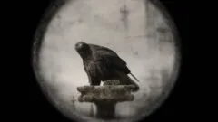 Český krátkometrážní film byl vybrán do soutěže v nejstarším filmovém festivalu v Africe