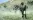 Jim Brown - Tucet špinavců (1967), Obrázek #2