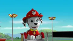 Tlapková patrola znovu míří do kin a nabídne závodnický speciál