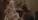 Drew Barrymore - Pistolnice (1994), Obrázek #1