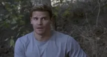 David Boreanaz