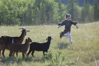 Burn Your Maps (2016): Trailer