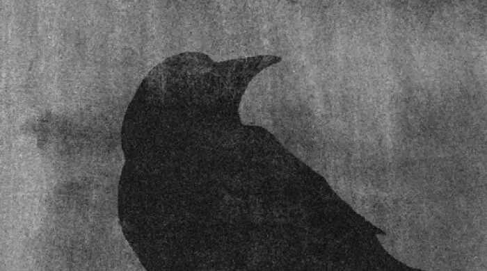 e-a-poe-literat-ktery-se-stal-inspiraci-pro-slavneho-harryho-pottera-19