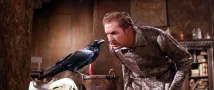 Vincent Price (I) - Havran (1963), Obrázek #5