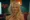 Pamela Anderson - Nicky Larson: Agent amatér (2018), Obrázek #1