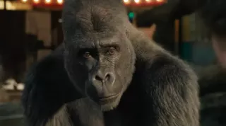 Trailer: Výjimečné přátelství gorily a slonice v celovečerním filmu od Disneyho