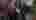 01093dda0525155eb4b1286ecff314cc1959