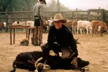 Matt Damon - Krása divokých koní (2000), Obrázek #3