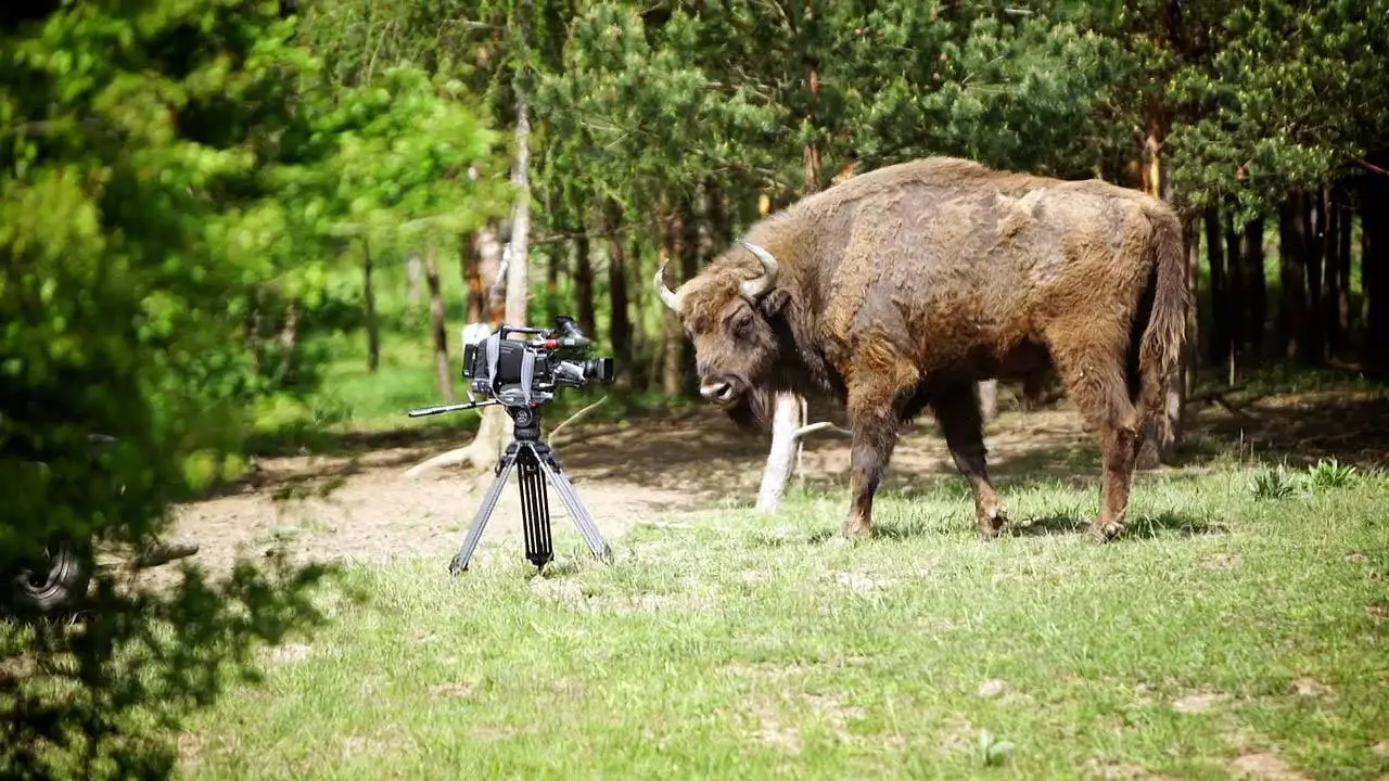 ekofilm-predstavuje-festivalovy-program