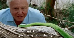 David Attenborough: Život na naší planetě: trailer