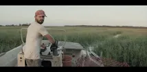 Shia LaBeouf