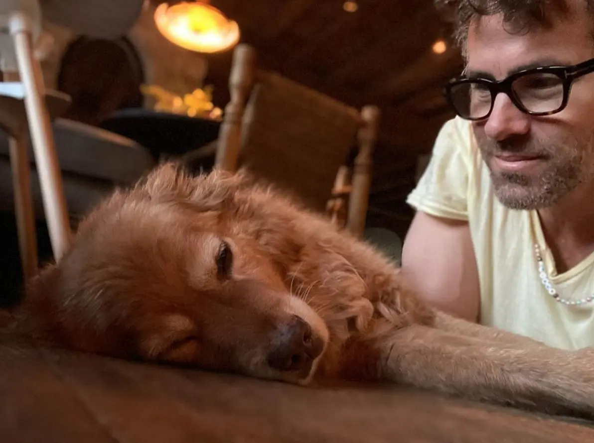 Jak si Terminátor adoptoval Predátora. Představují se hvězdní zvířecí zachránci