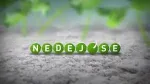 Nedej se!