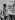 John Agar - Pomsta netvora (1955), Obrázek #2
