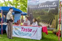 Brendan Penny - Summer in the Vineyard (2017), Obrázek #2