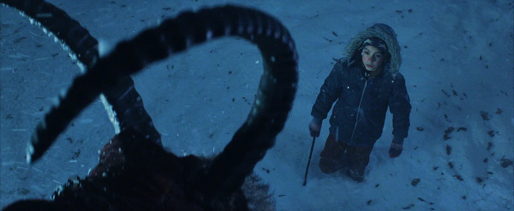 Krampus (2015)