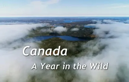Kanada: Rok v divočině