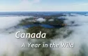 Kanada: Rok v divočině