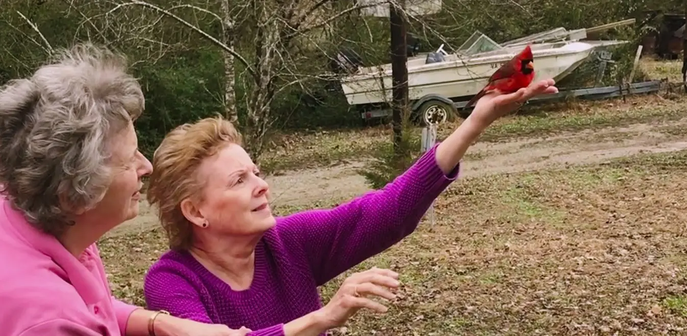 prezit-svoji-smrt-prvni-dokument-tohoto-roku-prinuti-i-toho-nejvetsiho-skeptika-verit-v-existenci-posmrtneho-zivota-a-mnoho-dalsich-nevyjasnenych-zahad-2