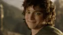Elijah Wood slaví 40. Proč už představitele Froda Pytlíka nikde nevidíme a jak vypadá dnes?
