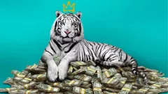 Recenze: Bílý tygr - Potemnělá indická variace Milionáře z chatrče je na Netflixu hitem. Indii vykresluje v notně západním duchu.