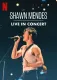 Shawn Mendes: Live in Concert