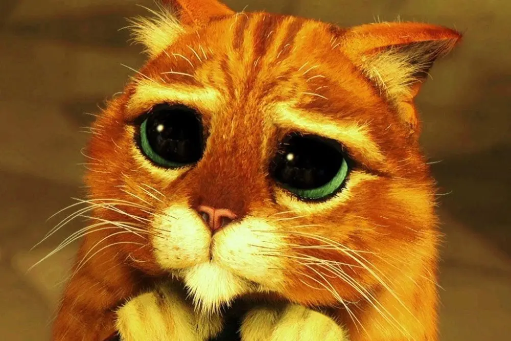 Studio DreamWorks napravuje zločince a oprašuje oblíbeného Kocoura v botách. V připravovaném celovečeráku půjde populárnímu chlupáči o život