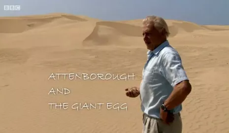 David Attenborough a obří vejce