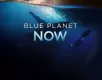 Modrá planeta - další expedice