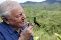 David Attenborough