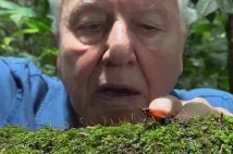 David Attenborough