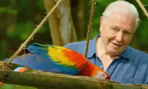 Slavný přírodovědec David Attenborough přináší lék proti depresi. Seriál Život v barvě vás dostane