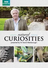 Přírodní kuriozity Davida Attenborougha
