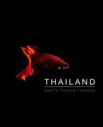 Divoké Thajsko