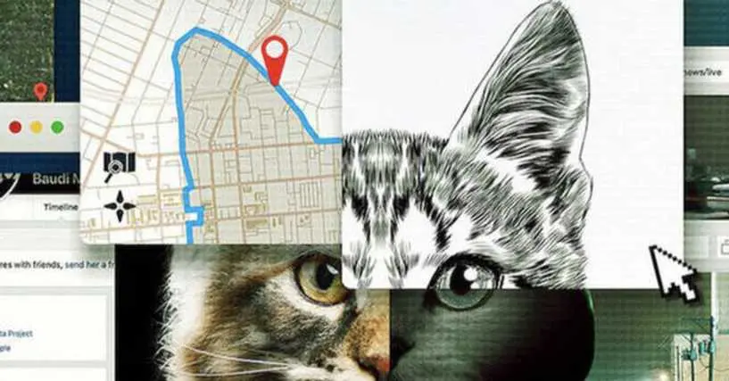 Dokument Od koťátek pracky pryč! ukazuje internet z té nejhorší možné stránky. Brutální videa s kočkami udělala z lidí stalkery