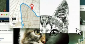 Dokument Od koťátek pracky pryč! ukazuje internet z té nejhorší možné stránky. Brutální videa s kočkami udělala z lidí stalkery