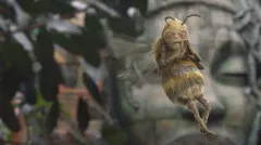 Komunitní předpremiéry táhnou. Vachler na film o smyslu života prodal 11 tisíc lístků